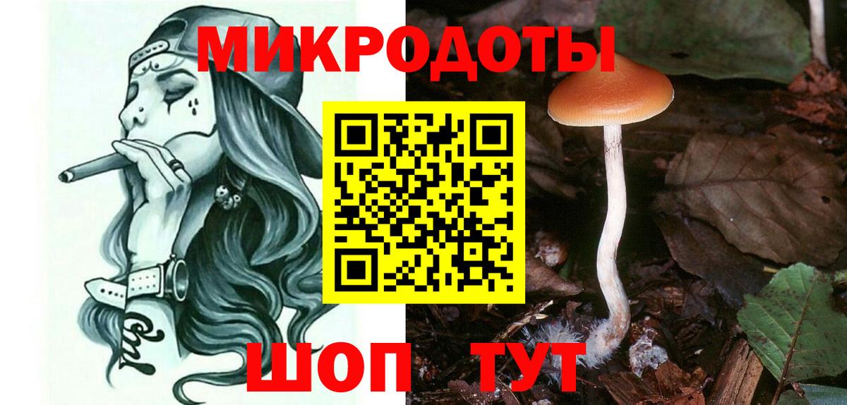 Галлюциногенные грибы мицелий Новокузнецк