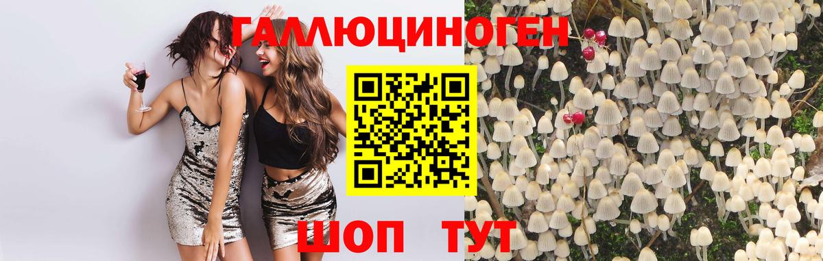 Новокузнецк  Псилоцибиновые грибы MAGIC MUSHROOMS  Галлюциногенные грибы мицелий  Вход с VPN 