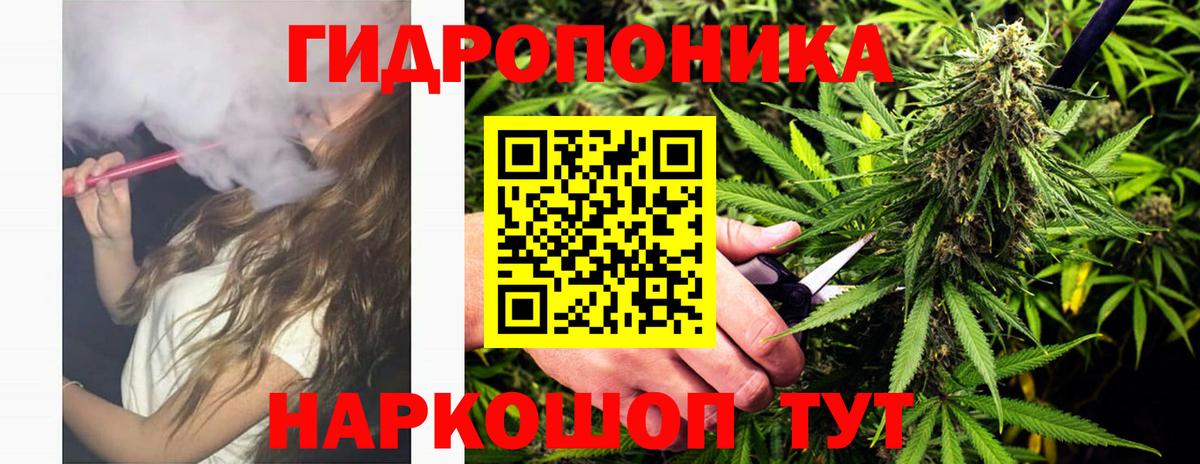 Канабис ГИДРОПОН Новокузнецк